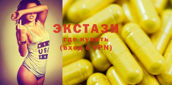 ECSTASY Бородино